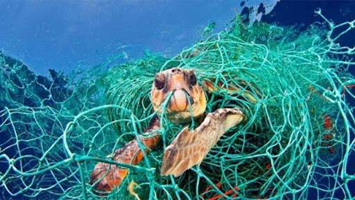 Giải quyết ô nhiễm nhựa đại dương - Cần một thỏa thuận toàn cầu